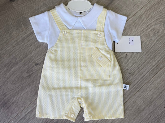 Kleo kids boys lemon dungaree set